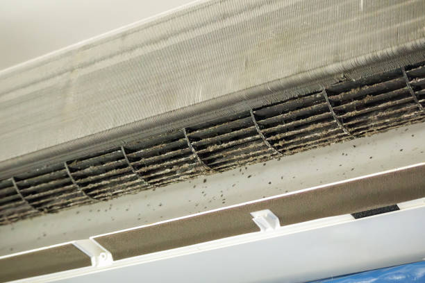 Best Air Duct Cleaning Near Me  in Opelousas, LA